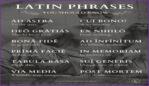 A Profile Of A Latin Beauty