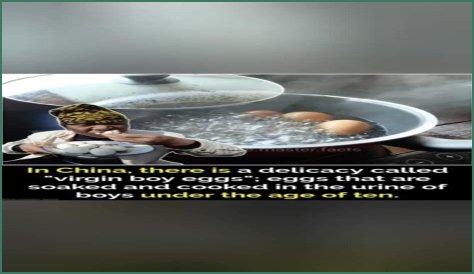 Hitler memes that will make you crazy